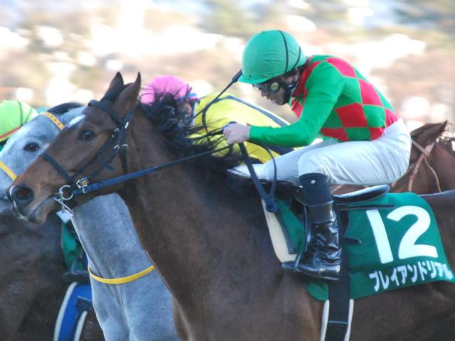 地方 情報 jra 競馬