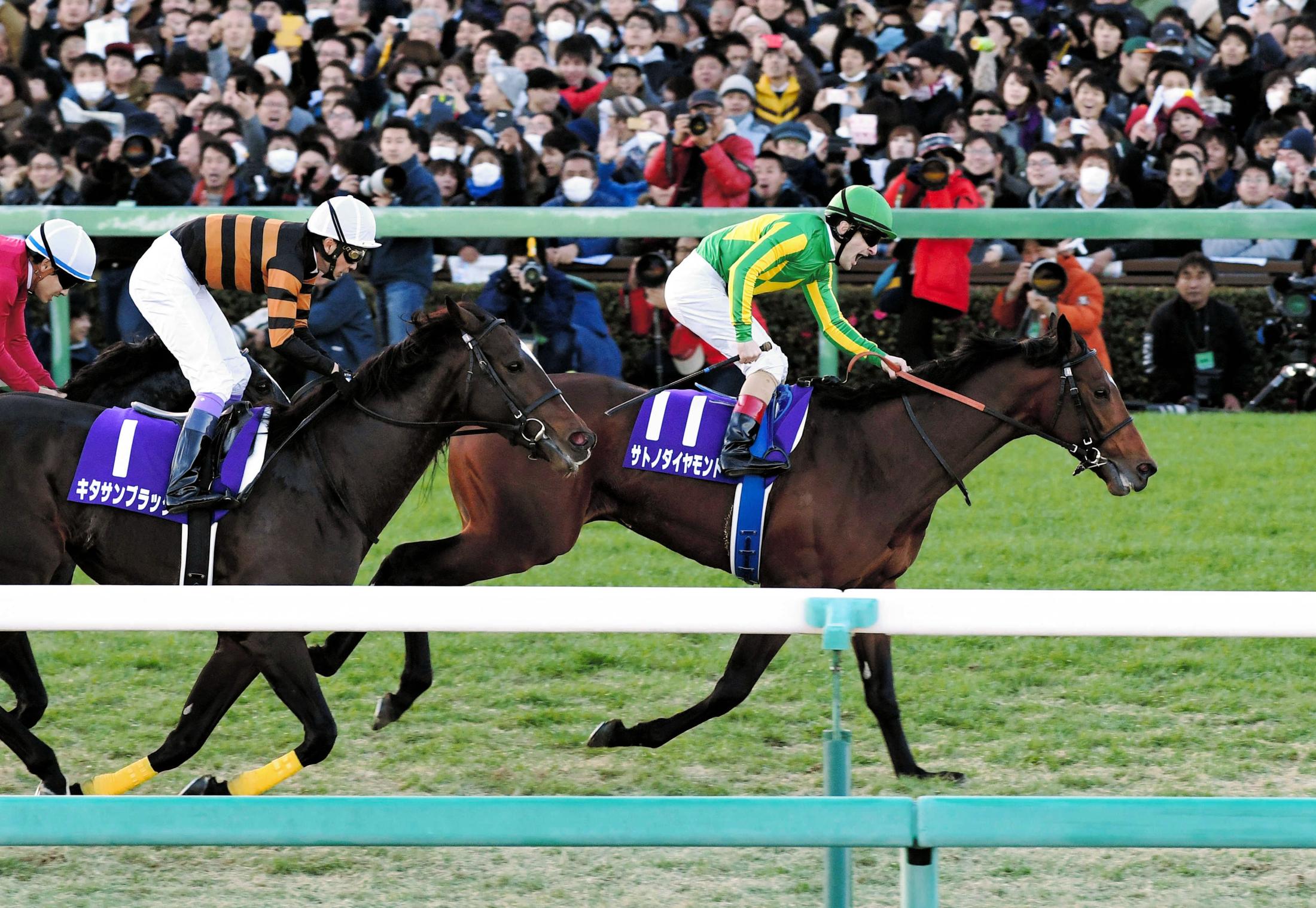 ２０１６年有馬記念を制したサトノダイヤモンド（右）と２着キタサンブラック