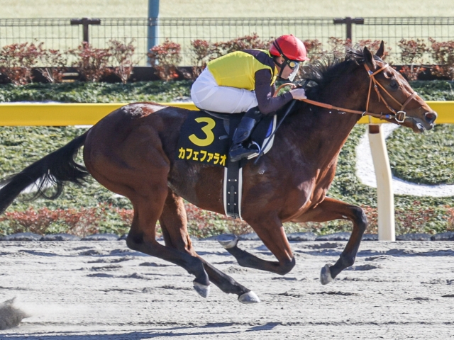 大井 ジャパンダートダービー選定馬 カフェファラオの騎乗予定騎手が決定 ダイメイコリーダが繰り上がりなど 競馬ニュース Netkeiba Com