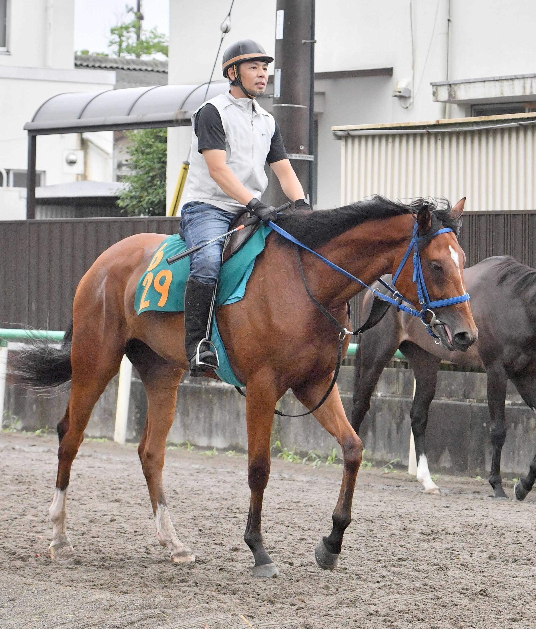 ｐｏｇ ノアファンタジー 大江原師 素直で乗りやすい 競馬ニュース Netkeiba Com