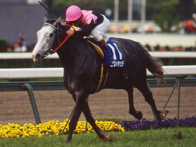 GI・3勝馬ビワハヤヒデ(写真は1994年天皇賞・春優勝時)