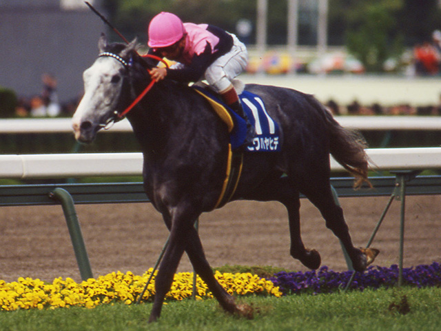 ビワハヤヒデが死亡 30歳 1993年菊花賞などgi 3勝 弟にナリタブライアン 競馬ニュース Netkeiba Com