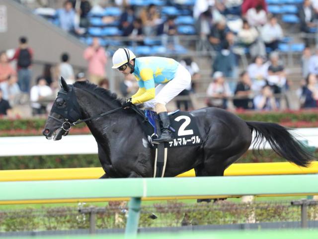 【次走】マーキュリーC2着馬デルマルーヴルの次走は三択/馬三郎のつぶやき