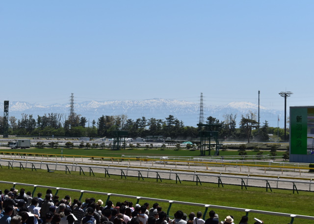 Jra 8月15日からの新潟開催は県内在住者限定で1日あたり約600名の指定席券で入場を再開 競馬ニュース Netkeiba Com