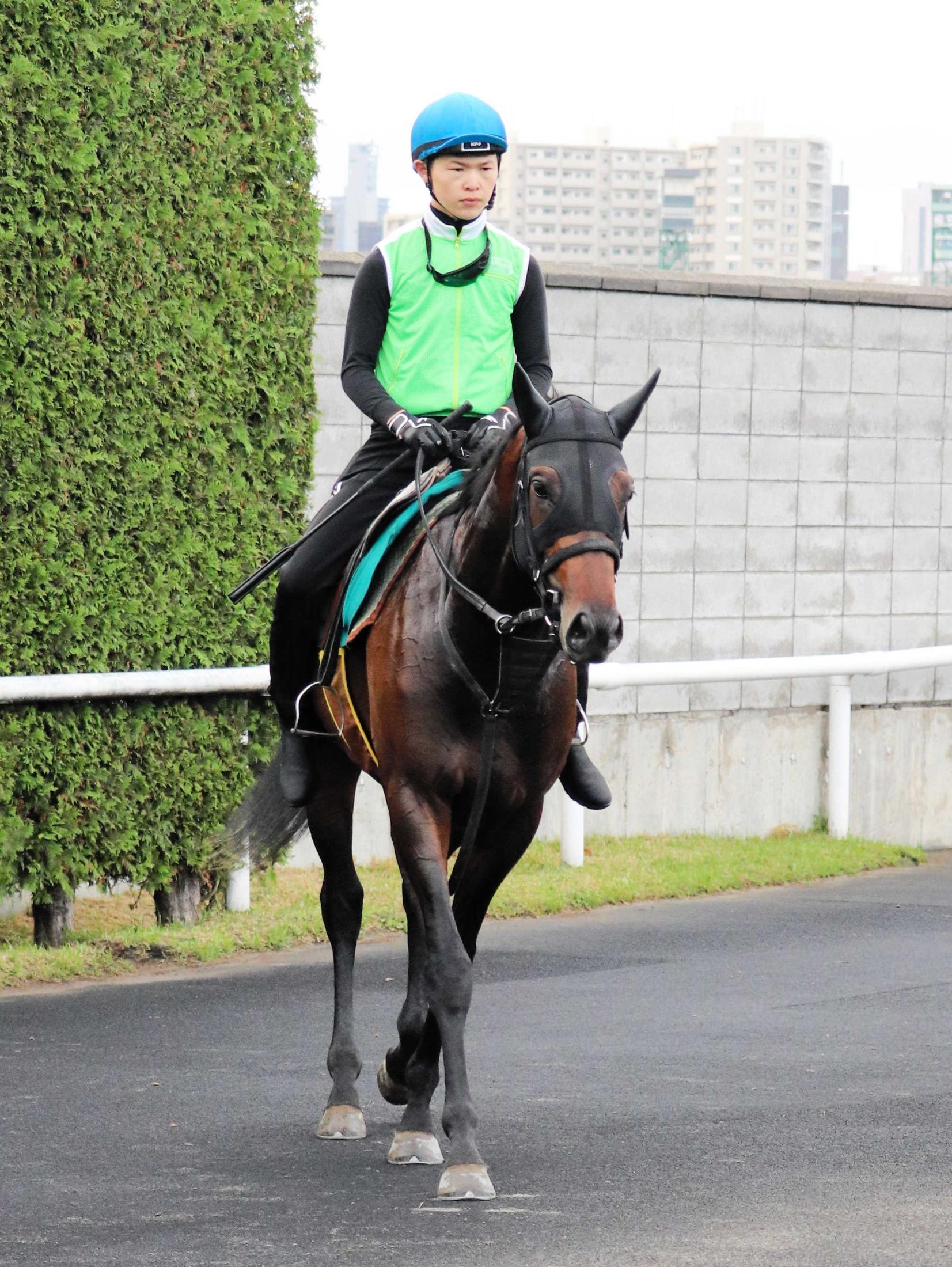　Ｇ１・２勝馬マリアライトの初子となるオーソクレース