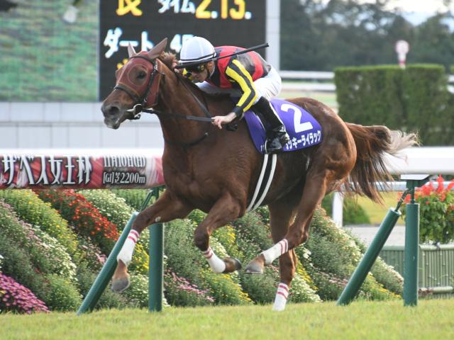 定量gii札幌記念 ハンデgiii北九州記念に注目 今週の競馬界の見どころ 競馬ニュース Netkeiba Com