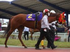 一昨年のNAR2歳最優秀牝馬アークヴィグラスが久々の勝利を狙う(写真は2020年しらさぎ賞出走時、撮影：高橋正和)