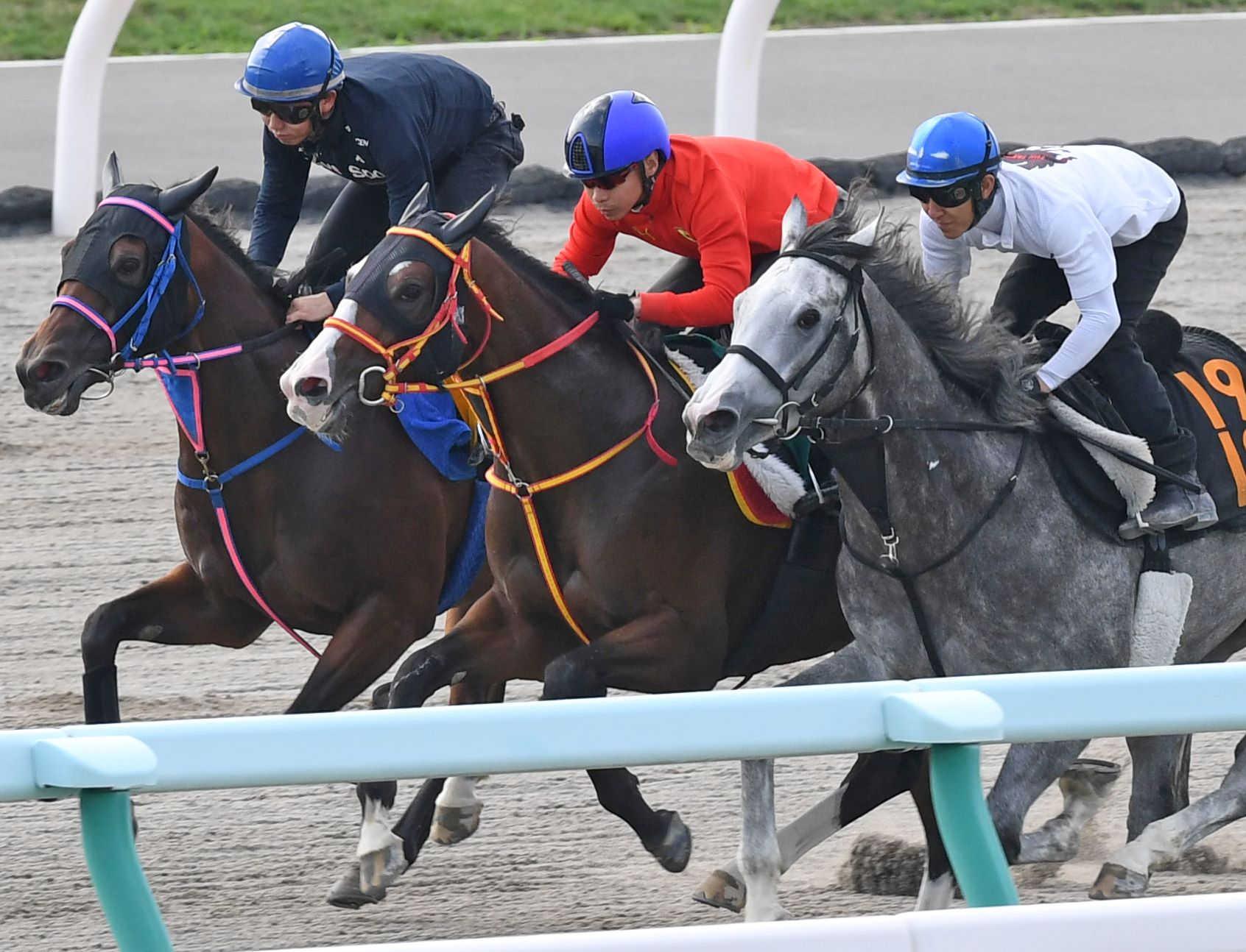 ｐｏｇ アウトストラーダ 池添好感触の 攻めの良さ 伯母トゥザヴィクトリー 競馬ニュース Netkeiba Com