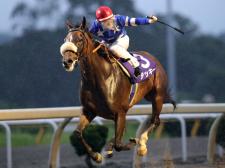 アッキーが六甲盃に続く重賞2勝目を飾った(写真提供：岩手県競馬組合)