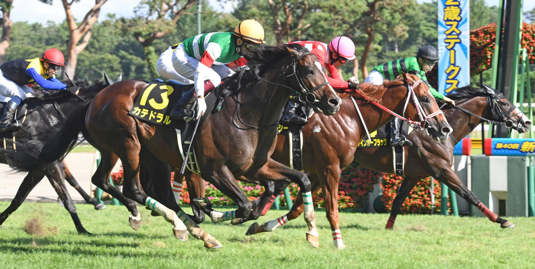 朱鷺ｓ カテドラル１４頭ごぼう抜き 指揮官ムチ使うと反抗に 今後どうなるか 競馬ニュース Netkeiba Com