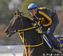 有馬記念最新情報(1)メイショウサムソンなど