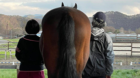 私たちの自慢の息子 家族と送る第三の馬生 キクノエンブレムとのかけがえのない出会い 3 競馬コラム Netkeiba Com