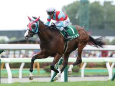 芝1200m重賞を2勝しているビアンフェがセントウルSに出走予定