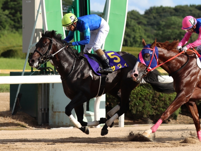 【オーバルスプリント】(浦和) JRA所属出走予定馬および補欠馬について