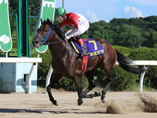 霧島賞に出走するキヨマサ(写真提供：佐賀県競馬組合)