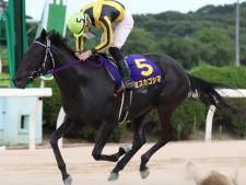ダービーの称号を狙うミスカゴシマ(提供:佐賀県競馬組合)