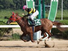 塚本雄大騎手騎乗の1番人気マイネルポーションが勝利(撮影：稲葉訓也)