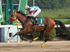 金山昇馬騎手騎乗の2番人気シゲルオリオンザが勝利(撮影：稲葉訓也)