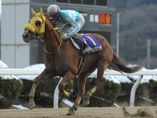 3連勝を狙うルールソヴァール(撮影：稲葉訓也)