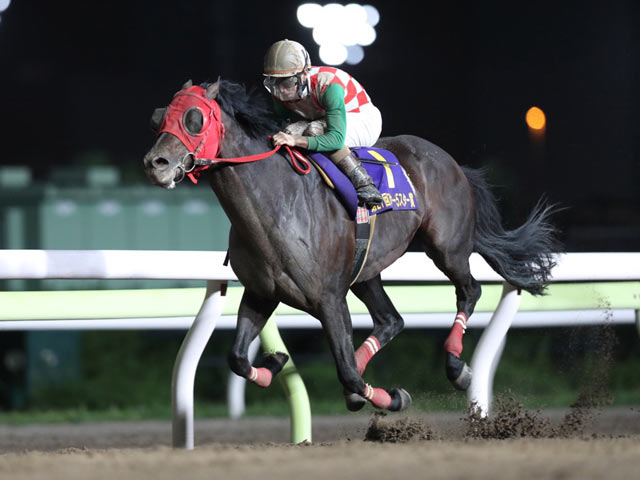 大井 アフター5スター賞結果 サブノジュニアが3連勝で重賞初制覇 競馬ニュース Netkeiba Com