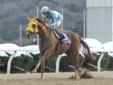 転入3連勝で重賞2勝目を狙うルールソヴァール(写真は18年佐賀記念優勝時、撮影：稲葉訓也)