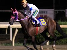 現在4連勝中のナリタミニスターが中心か(ユーザー提供：あすりさん)
