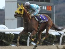 旭岳賞を快勝し3連勝となったルールソヴァール(写真は18年佐賀記念優勝時、撮影：稲葉訓也)