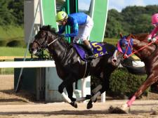 オーバルスプリントにはサヴィらが出走予定(写真提供：佐賀県競馬組合)