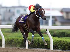 テレ玉杯オーバルスプリント3連覇が懸かるノブワイルド(撮影：武田明彦)