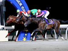 DG制覇の10歳馬メイショウアイアン(撮影：田中哲実)