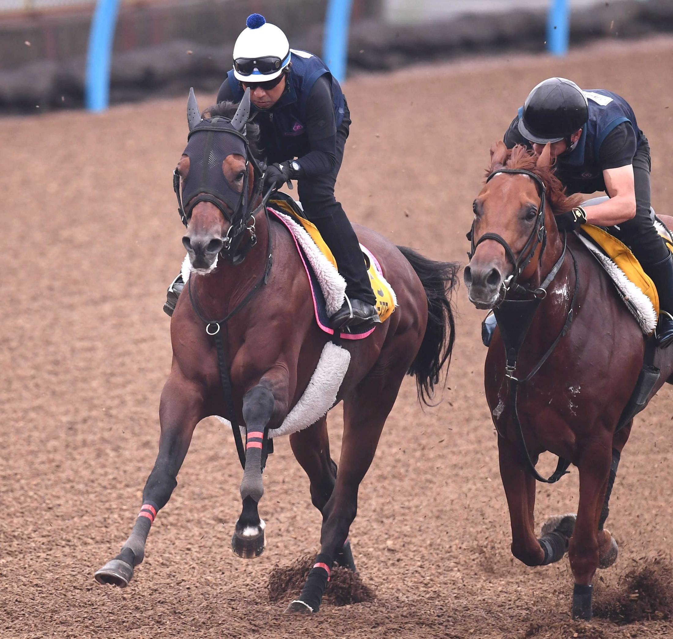 オールカマー ミッキースワロー 納得デモ 菊沢師 肩ムチを入れました 競馬ニュース Netkeiba Com