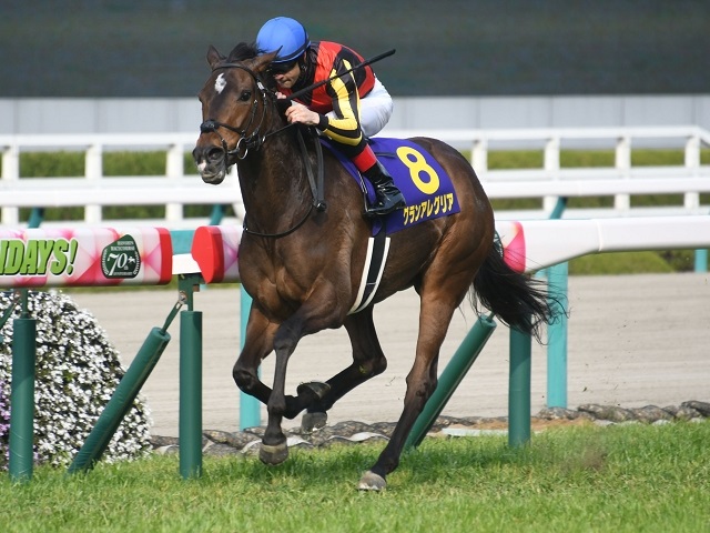 スプリンターズs予想オッズ グランアレグリアが予想1番人気 競馬ニュース Netkeiba Com