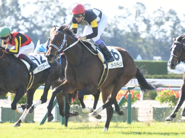 次走 オーマイダーリン秋華賞へ 鞍上は今後調整 馬三郎のつぶやき 競馬ニュース Netkeiba Com