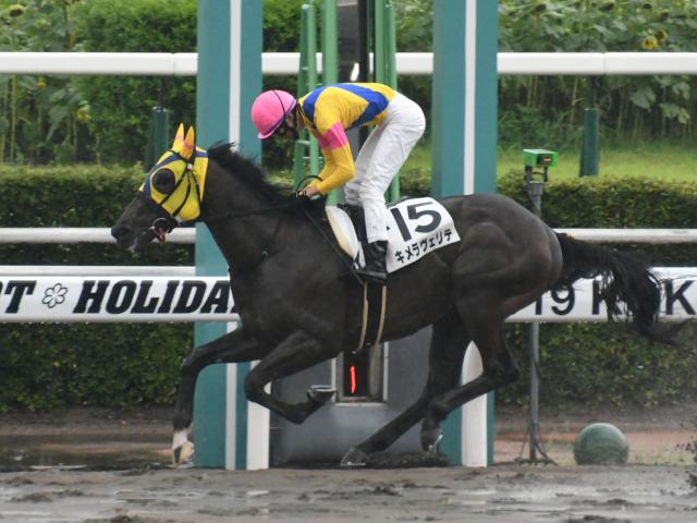 菊花賞 キメラヴェリテは史上初の臨戦で菊花賞へ 馬三郎のつぶやき 競馬ニュース Netkeiba Com