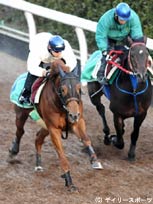 今週デビューの注目新馬(1)