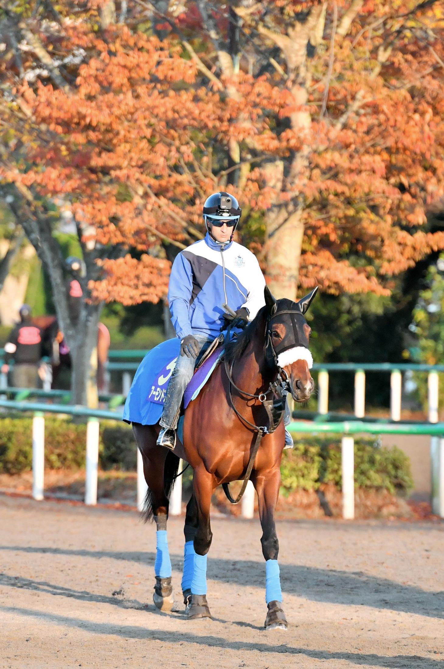 天皇賞 アーモンドアイは７枠９番 理想と違いも国枝師 頑張るだけ 競馬ニュース Netkeiba Com