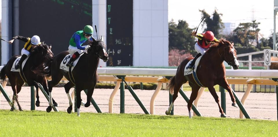 名牝ブエナビスタの息子が初勝利 東京２ｒブエナベントゥーラ 競馬ニュース Netkeiba Com