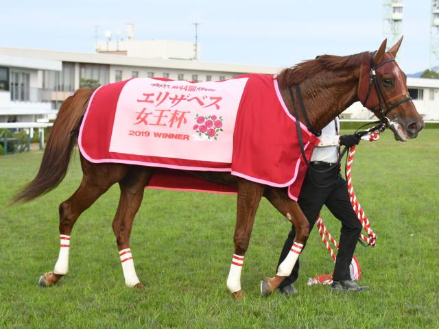 Giエリザベス女王杯 前哨戦の武蔵野s デイリー杯2歳sに注目 今週の競馬界の見どころ 競馬ニュース Netkeiba Com