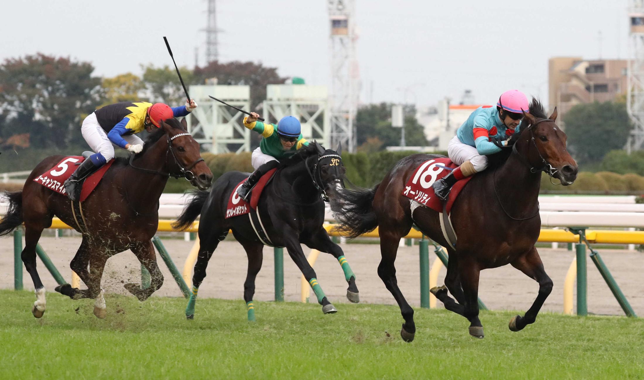 アルゼンチン共和国杯 オーソリティ古馬撃破 重賞連勝 春骨折離脱の無念晴らした 競馬ニュース Netkeiba Com