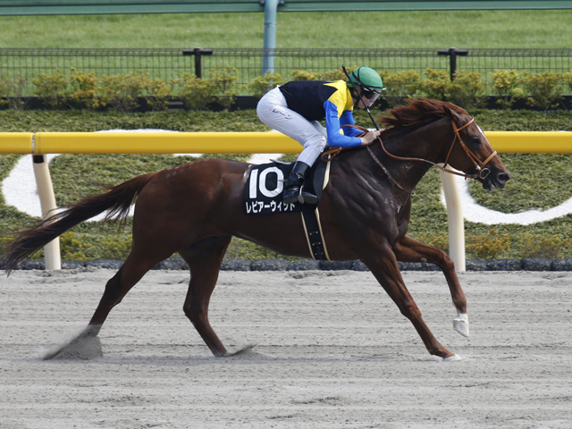 武蔵野s展望 ダート重賞で屈指のスピードレース あの穴馬に期待したい 競馬ニュース Netkeiba Com