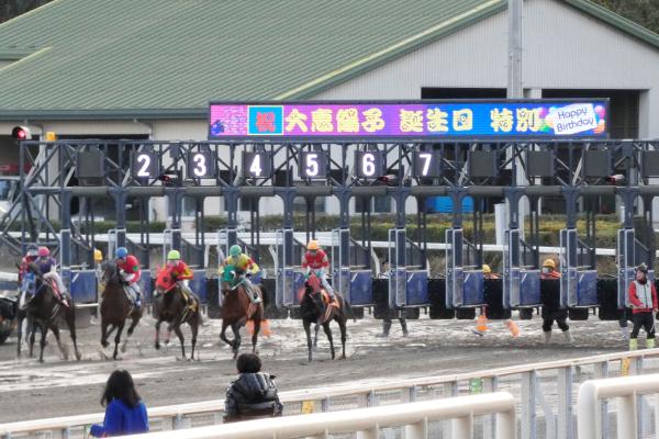 地方競馬ならではの楽しみ方　協賛レースはいかがでしょう