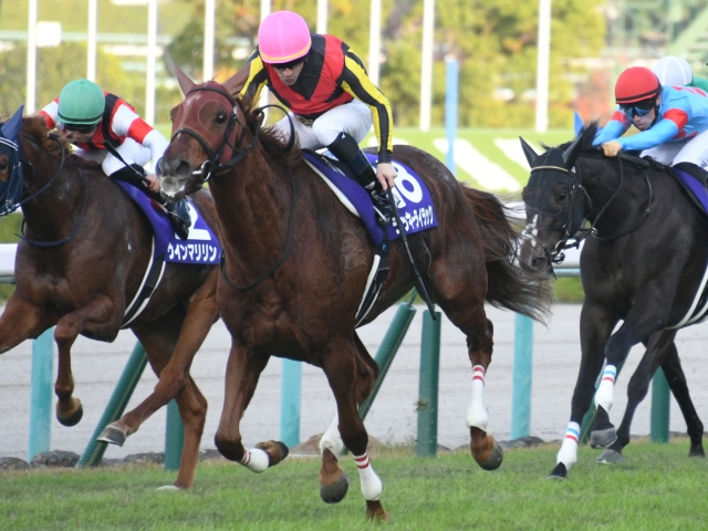 海外並行輸入正規品 ラッキーライラック エリザベス女王杯 2020年 単勝