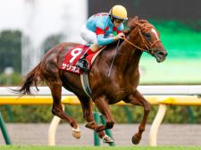 前哨戦の毎日王冠を完勝したサリオスがマイルCSに登場(撮影：下野雄規)