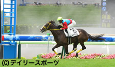北の一番星に輝いたファソンに吉田隼「楽だった」/函館新馬