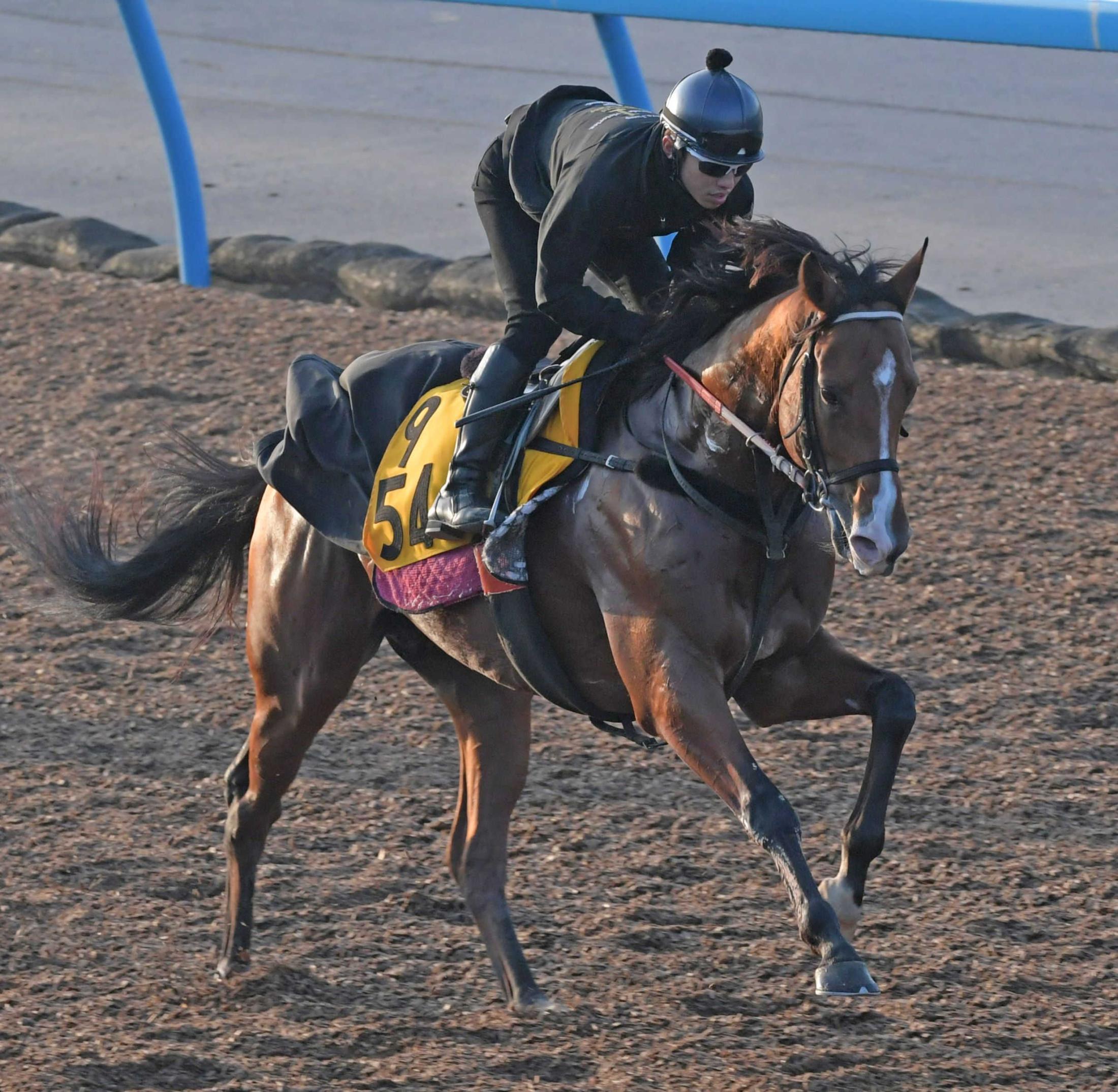 貴重な血 継ぐストレートパンチ 障害オープン初ｖだ 競馬ニュース Netkeiba Com