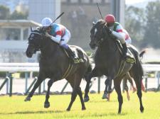 東京スポーツ杯2歳Sに出走予定のジュンブルースカイ(写真左)