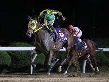 3連勝で重賞初制覇を果たしたプリマステラ(撮影:稲葉訓也)