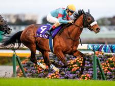 三冠馬3頭による夢の対決に注目(撮影：下野雄規)