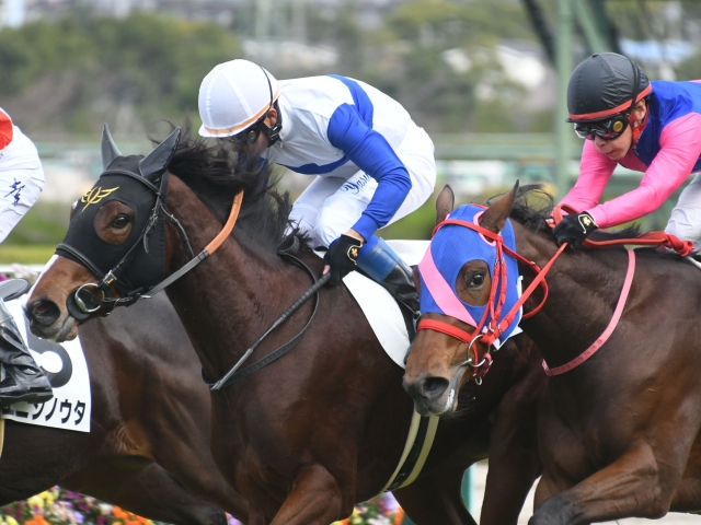 競馬 ハーレムライン 新馬戦 実使用ゼッケン 大野拓弥 サイン