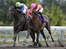 マーキュリーC、白山大賞典と交流重賞連勝中のマスターフェンサー。近走は2000m以上の距離で安定して走っているが…(撮影：武田明彦)